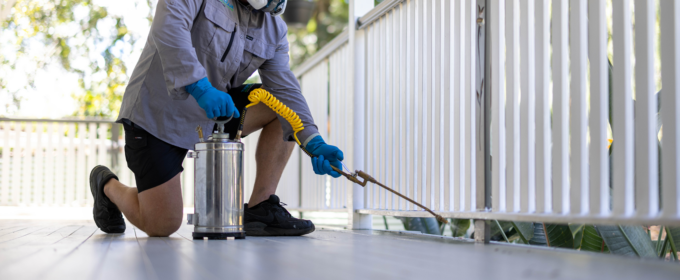 All Pest Solutions