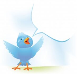 Get the Most Chirp for Your Tweet: Social Media Management Systems