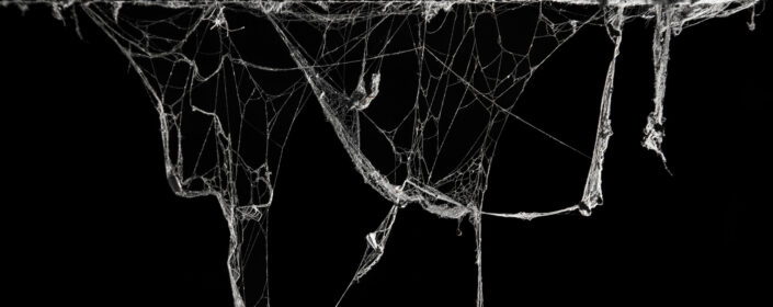 Is Your Business Being Ghosted? Why Leads Disappear, and How to Fix It