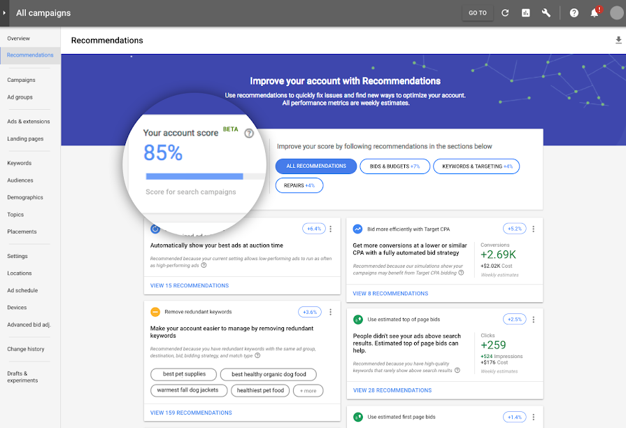 Google optimization score snapshot to track your SEM