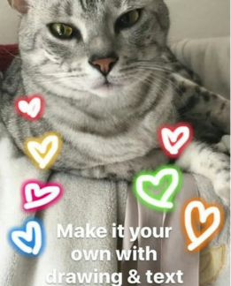 Instagram Stories Examplepng