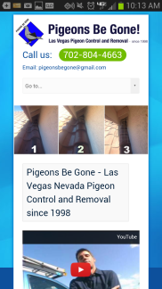 Good mobile user experience. (source - PigeonsBeGone.com)