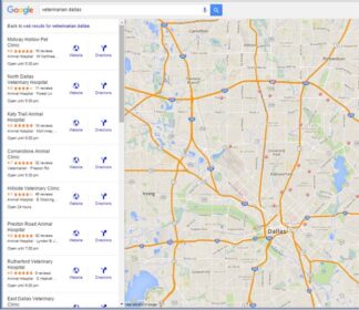 Veterinarian Websites – What Does Google Look For?