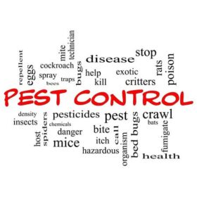 PPC Tips for Pest Control Services