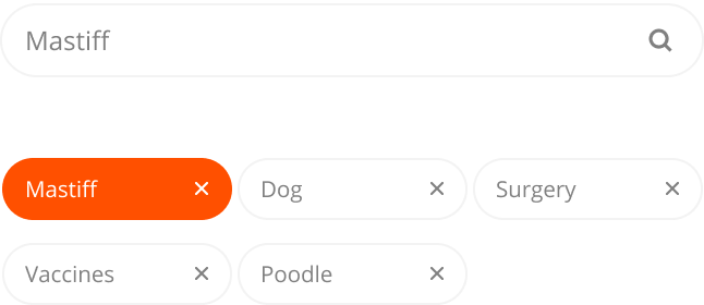 Custom veterinarian tags in Thryv